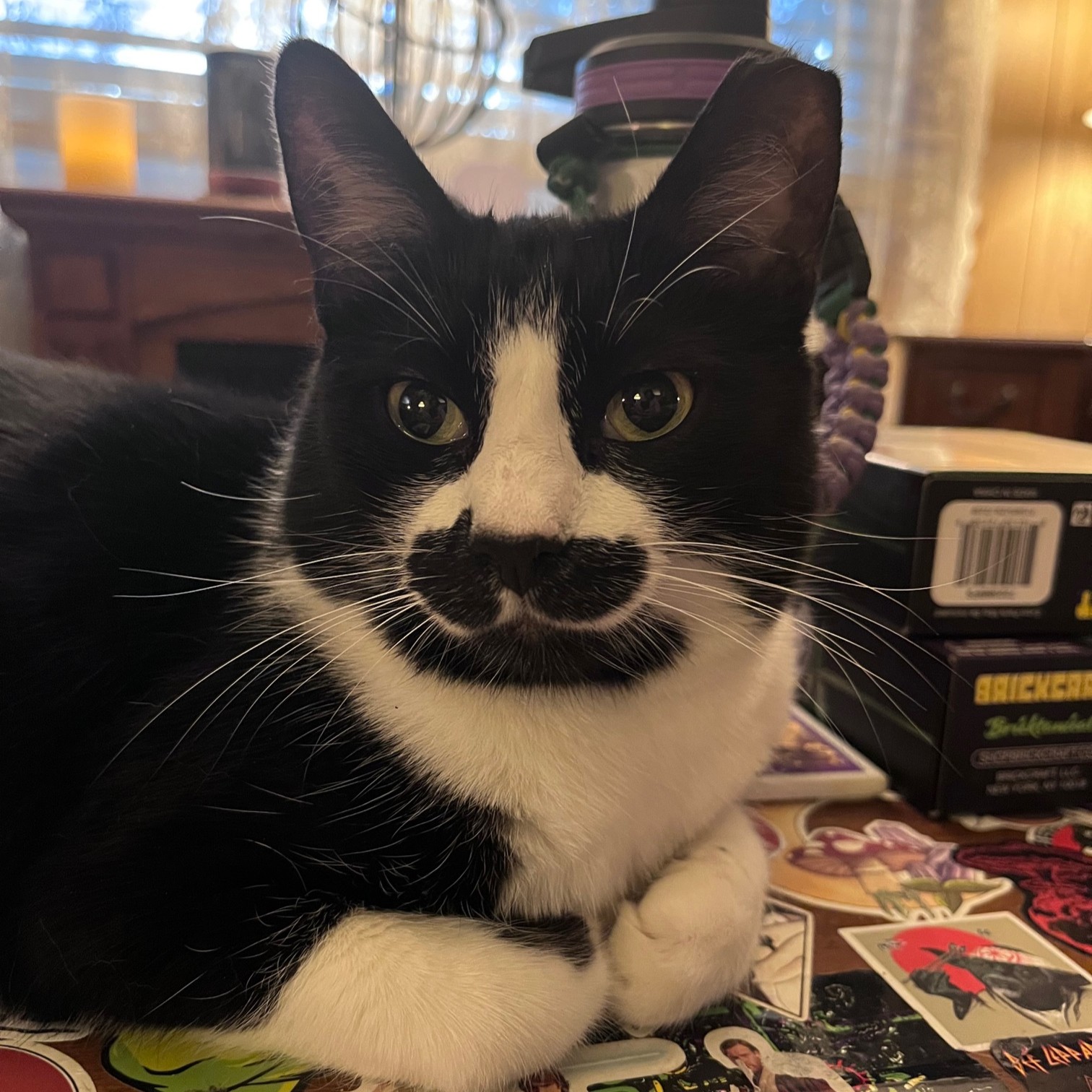 Gizmo