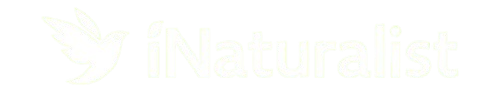 iNaturalist