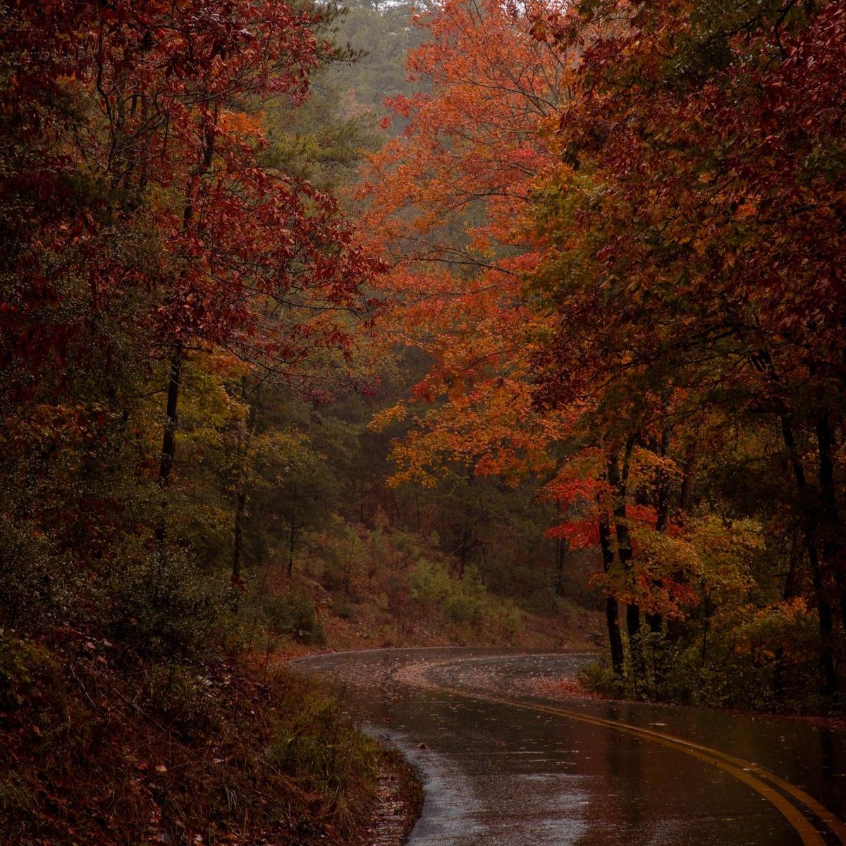 autumn days